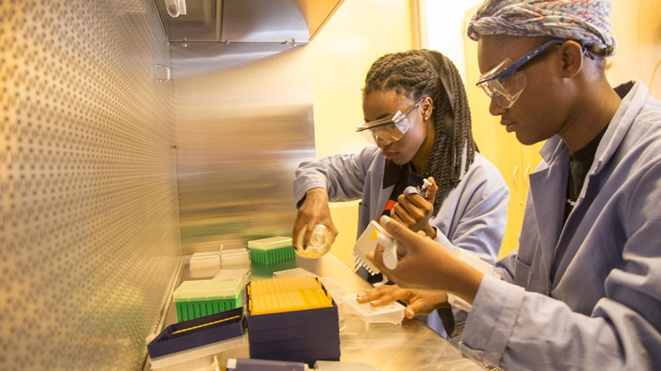 Students in Professor Tina Negritto’s lab